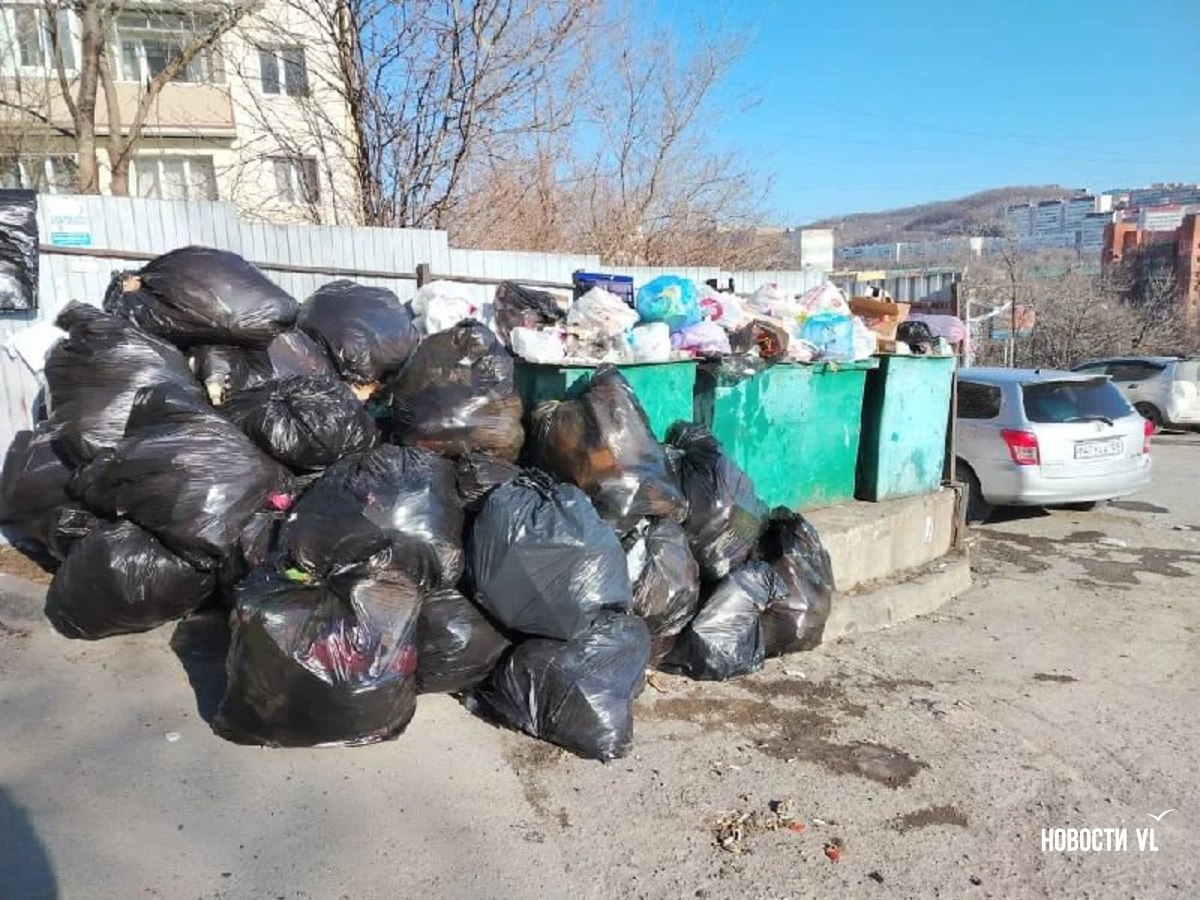 Жалобы на не вывезенный с улиц Владивостока мусор продолжают поступать Жалобы на не вывезенный с улиц Владивостока мусор продолжают поступать