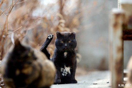 ������� �� ������������ ��������� �� -5 ��