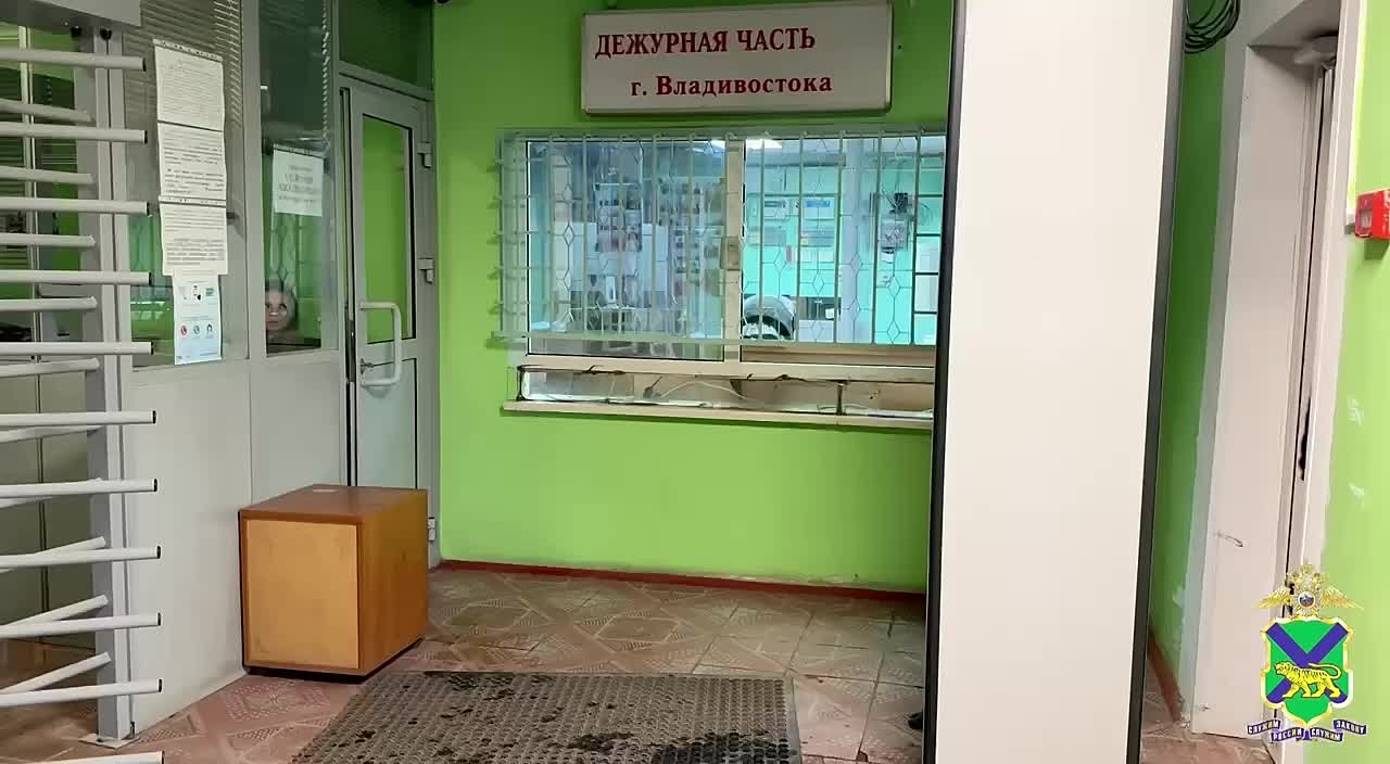 Полицейские задержали жителя Владивостока, подозреваемого в грабеже
