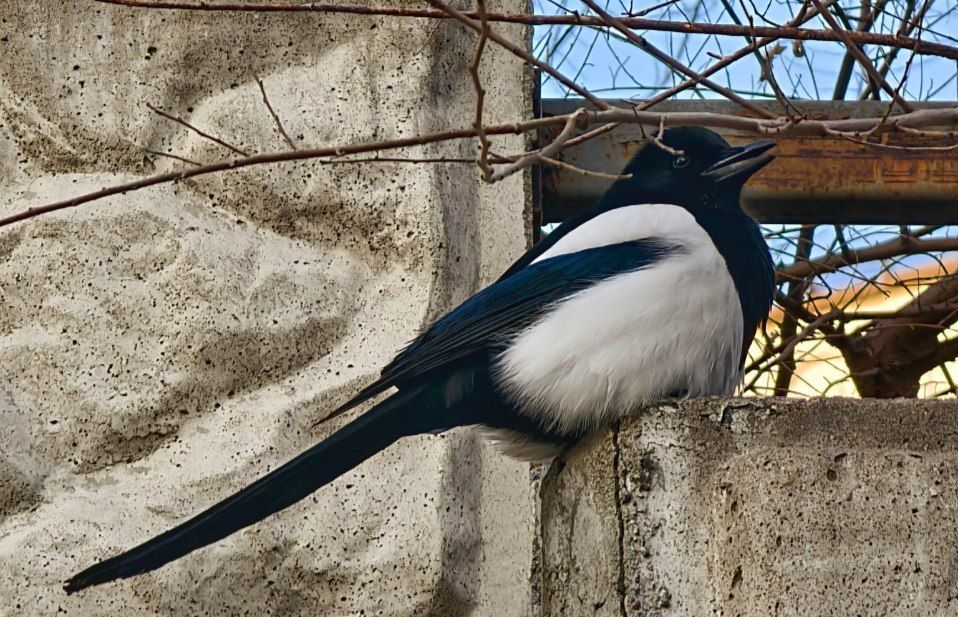 �������, 3 ������, �� ������������ ��������� ����������, ��� �������