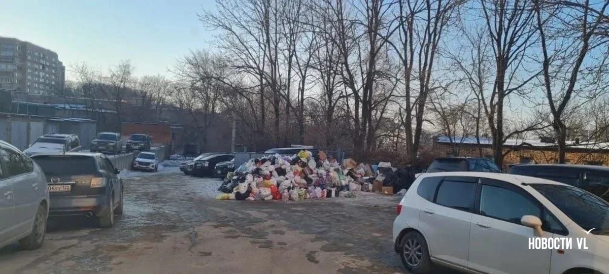 Жалобы на не вывезенный с улиц Владивостока мусор продолжают поступать Жалобы на не вывезенный с улиц Владивостока мусор продолжают поступать