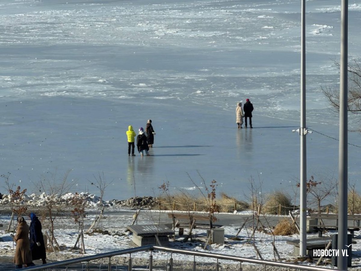 Акватория Спортивной гавани во Владивостоке превратилась в большой бесплатный каток Акватория Спортивной гавани во Владивостоке превратилась в большой бесплатный каток