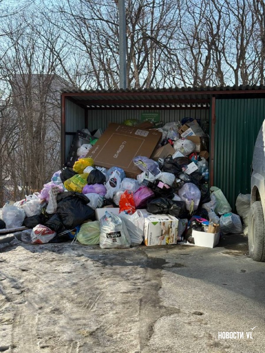 Жалобы на не вывезенный с улиц Владивостока мусор продолжают поступать Жалобы на не вывезенный с улиц Владивостока мусор продолжают поступать