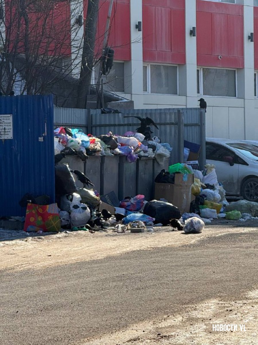 Жалобы на не вывезенный с улиц Владивостока мусор продолжают поступать Жалобы на не вывезенный с улиц Владивостока мусор продолжают поступать
