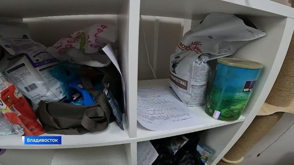 ���� ������ �������, ���� ������� ��������?