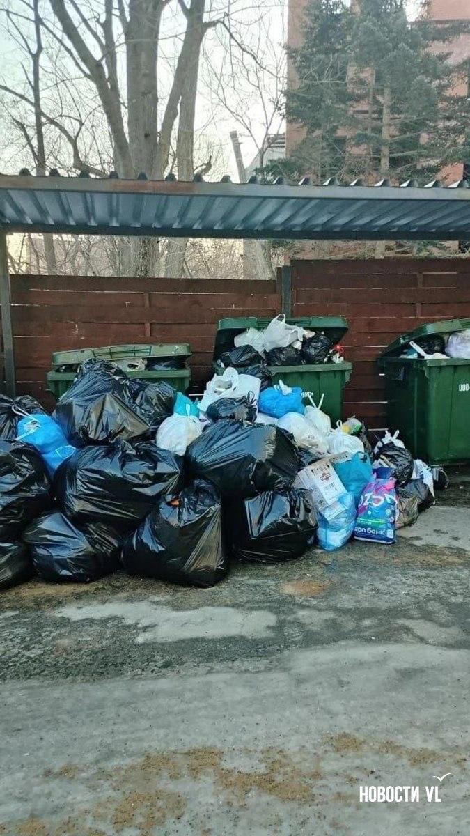 Во Владивостоке сохраняются проблемы с вывозом мусора – контейнерные площадки во дворах переполнены Во Владивостоке сохраняются проблемы с вывозом мусора – контейнерные площадки во дворах переполнены