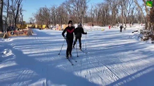 Лыжня на острове Русский (поселок Канал) работает каждый день