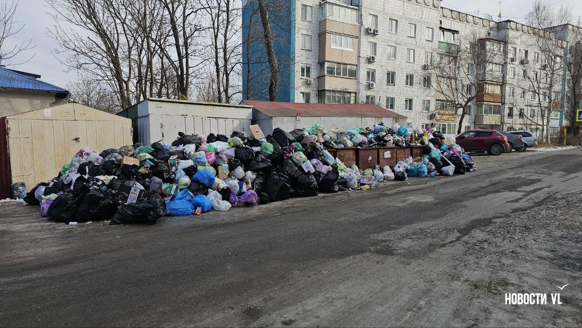 Во Владивостоке сохраняются проблемы с вывозом мусора – контейнерные площадки во дворах переполнены Во Владивостоке сохраняются проблемы с вывозом мусора – контейнерные площадки во дворах переполнены