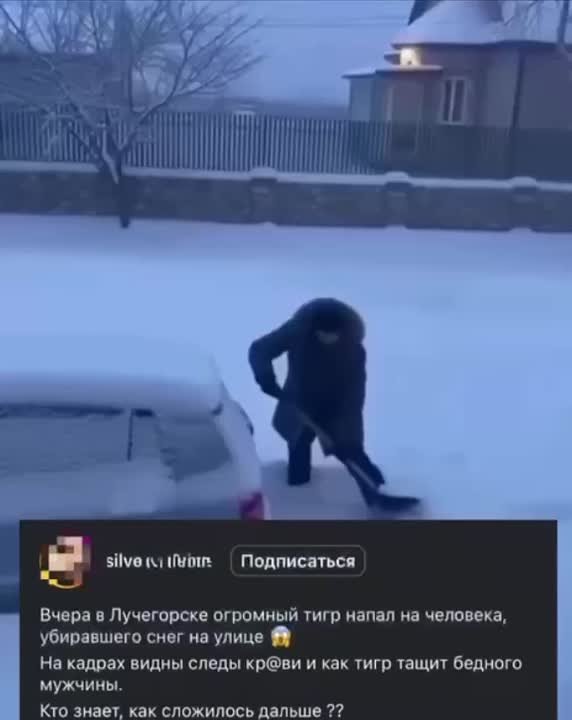 Наша любимая (и действительно важная с т.з понимания всего происходящего) тема — ИИ и политика