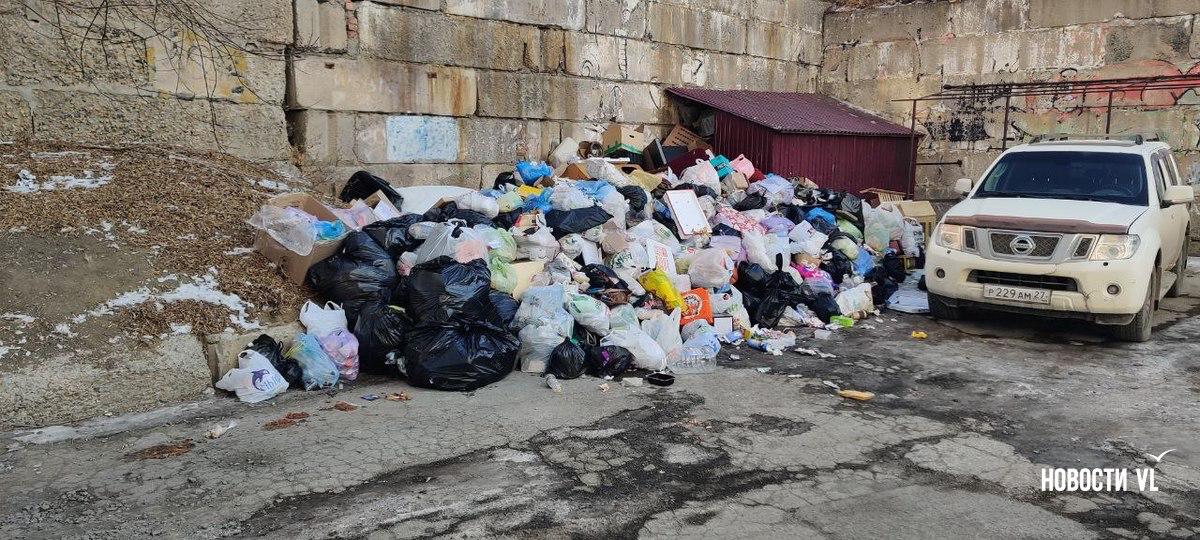 Во Владивостоке сохраняются проблемы с вывозом мусора – контейнерные площадки во дворах переполнены