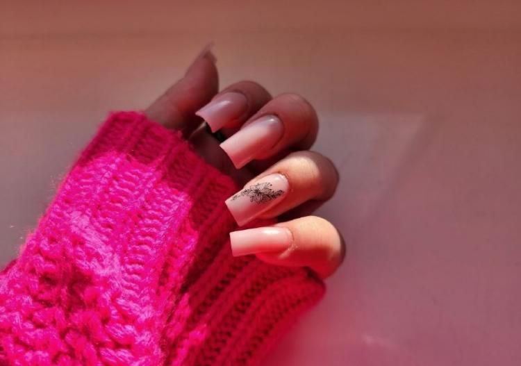 ������ ��� �����: ���-5 �������� �������� �� 2026 ���