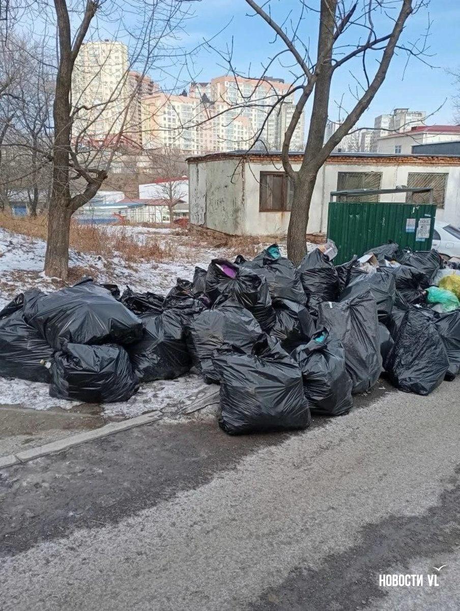 Во Владивостоке сохраняются проблемы с вывозом мусора – контейнерные площадки во дворах переполнены Во Владивостоке сохраняются проблемы с вывозом мусора – контейнерные площадки во дворах переполнены