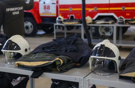 С начала 2026 года в Приморском крае зарегистрировано 98 пожаров, из которых 46 произошли в частном секторе