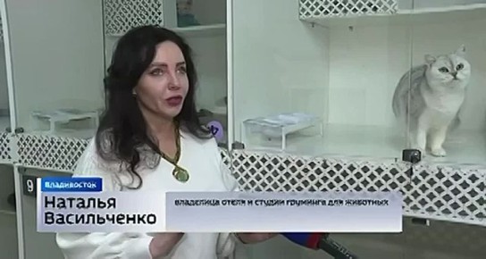 Длинные выходные- время, когда многие уезжают из города