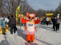 Сотни жителей и гостей дальневосточной столицы собрались сегодня, 4 января, на лыжной трассе острова Русский, чтобы принять участие в «Мандариновом забеге»