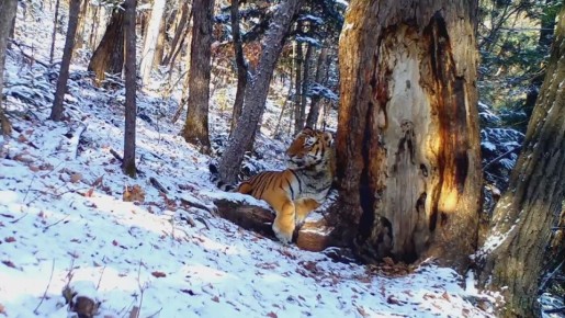 �� ����� �������� ������, � �������� �� ������: �������� ���������� �������� ������ ������� ����������� � �������� ��������