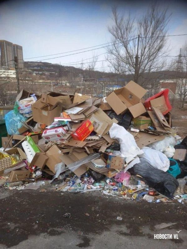 Прокуратура заинтересовалась ситуацией с вывозом мусора во Владивостоке