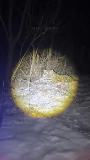 ����������� �������� ��������� ����� � ���� ������� ������� ���������� ������