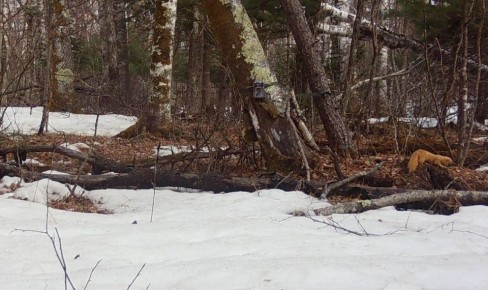 �� ����� ������ ����: ������� � �������� ����� ����� ������ ������ ����