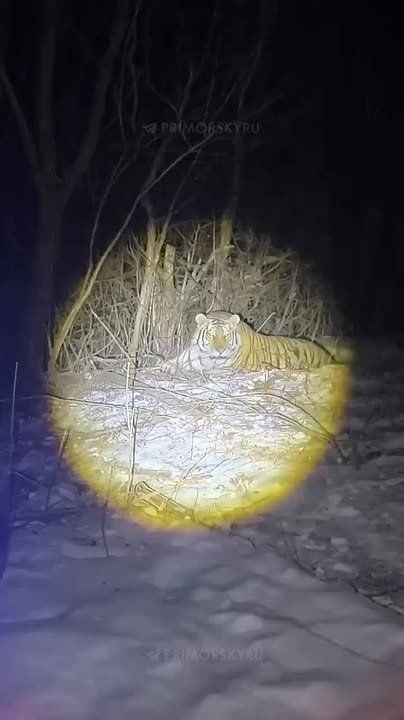 ������ � 2026 ���� ������������ �������� ���� �������� � ���� ������� ������� ���������� ������