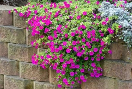 ����������: ��������� ������ ��� ������ ����