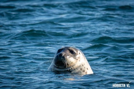 ������ ����, �����������!. ������� ������ ����������� ������ ����! � ������ ������� ��������� ����������, ��� �������, �� ������� ������� ����������