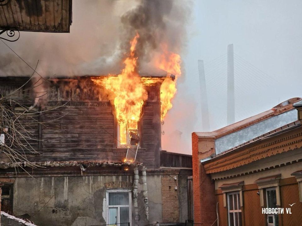 ��� ����� �������� �������: ������, ������� �������� �������� � 2025 ����