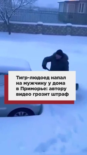 ����-������ ����� �� ������� � ���� � ��������: ������ ����� ������ �����