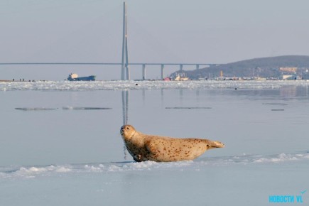 ������ ����, �����������!. ������� �������, 6 ������