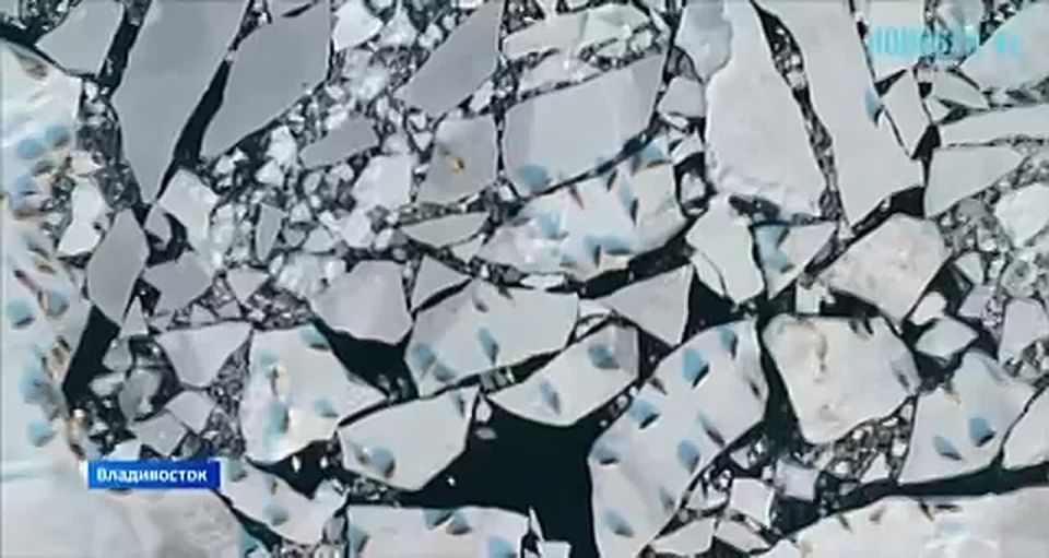 Рыбы нет, но есть желание. Этот сезон подледного лова выдался слабым, но любителей зимней рыбалки это совсем не останавливает