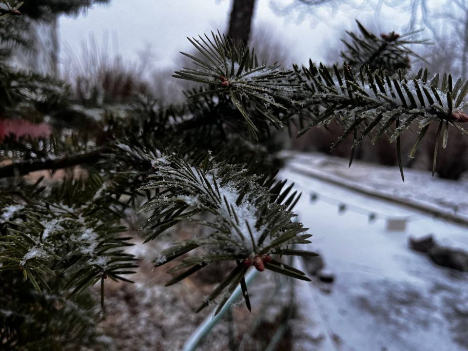 7 января в Приморском крае ожидается небольшой снег, который вечером может усилится