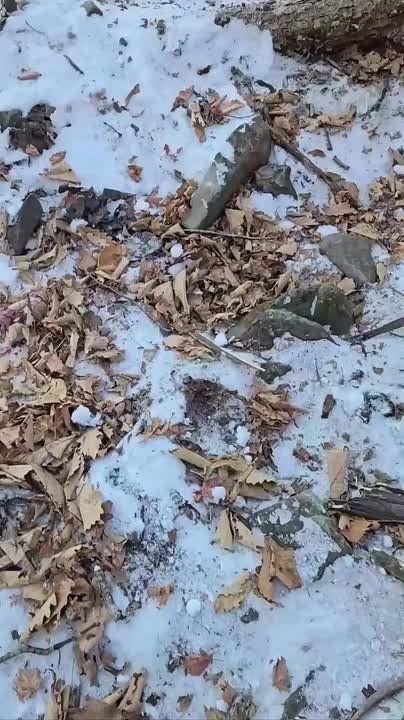 � ������������ ������ �������� ������������ ����