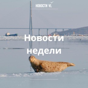 ��������� ������ �� �������� VL, ������� �� ����� ����������: