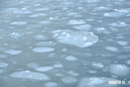 Доброе утро! В пятницу, 9 января, во Владивостоке переменная облачность, без осадков