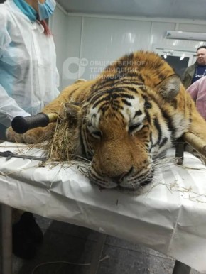 ��������� ����� �������� � ������������ ������ ��������