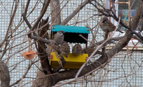 В пятницу, 9 января, погоду в Приморье определяет поле повышенного атмосферного давления
