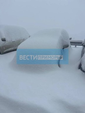 ��� ���� ������ ��������, �������� � ����������