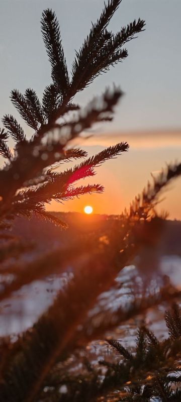 ������� ������! �� �������� �������� ����������� ����������� � ������ �������, ��������������� ������� �� 12.00,��������. �� ��������� � ������-������