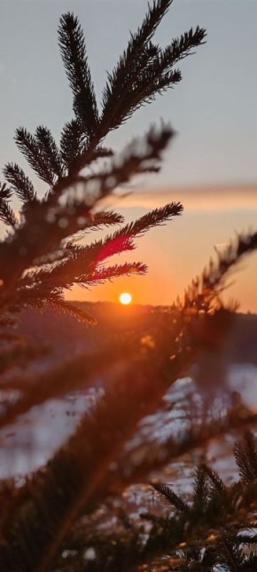 ������� ������! �� �������� �������� ����������� ����������� � ������ �������, ��������������� ������� �� 12.00,��������. �� ��������� � ������-������