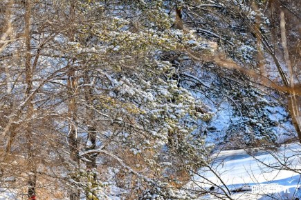 ������ ����! � �������, 10 ������, �� ������������ �������, ����� ��������� ����, ���� ��������� �������