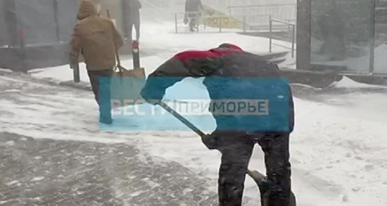 Метель не на шутку разыгралась на юге Приморья. Видимость до дорогах Владивостока практически нулевая. Сильный ветер закручивает снежинки в хаотичный вихрь, на дорогах снежный накат