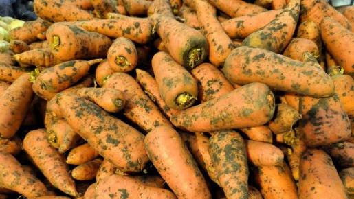 ���������� ����� �� ��������� �������� ���� ������ �������: ����� ��� �� ������