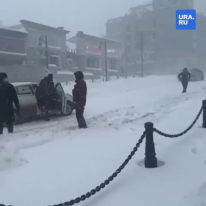 ������� ����������� �������� �� ��������