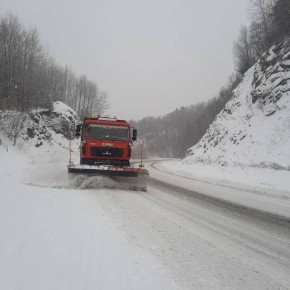 ������ �� �������� �� ���������������� ������ ���������������� ����