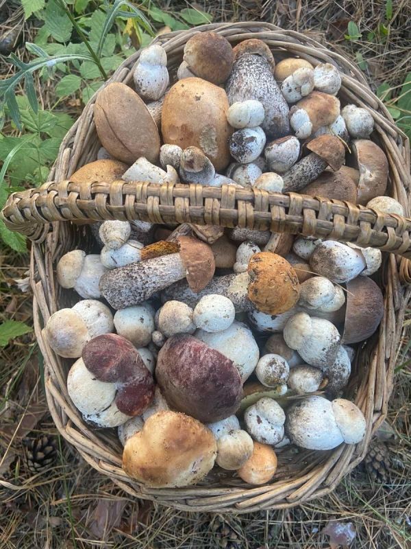 ������� ������� �����: ����� ����� �� ������� ������������