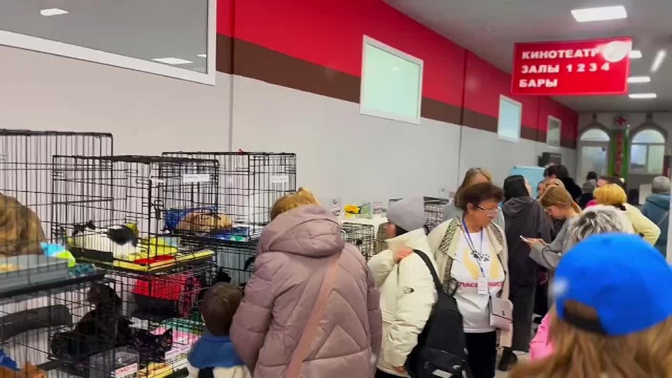 ��������� �����������. ����� ������ �� ������������ �������� ��������-������� ����� � �����, ������� ���� ���� ���