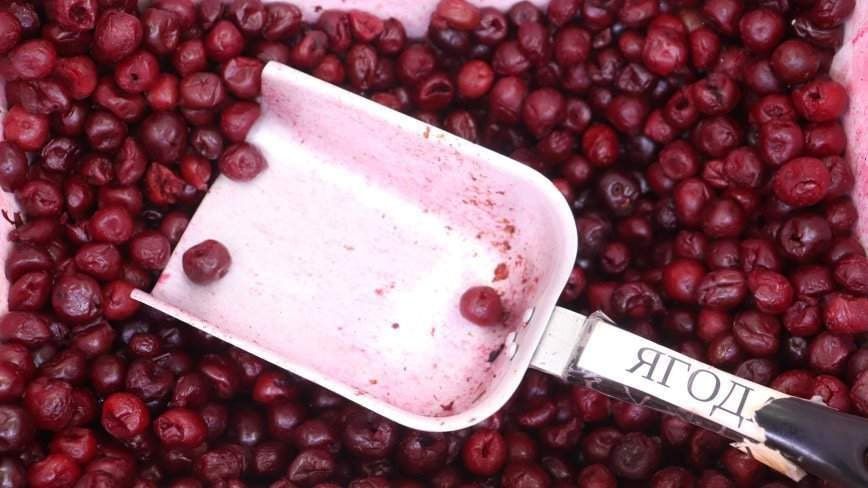 ��� ������ ������������ ����� � �� ���������