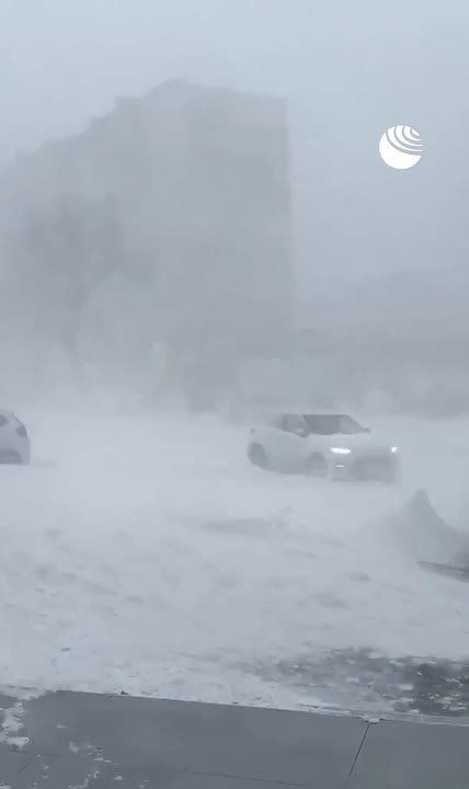 ����� �������� ����� ����� ������ �� ������������, �������� ������������