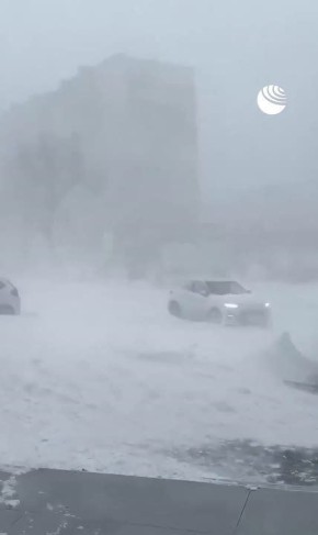 ����� �������� ����� ����� ������ �� ������������, �������� ������������