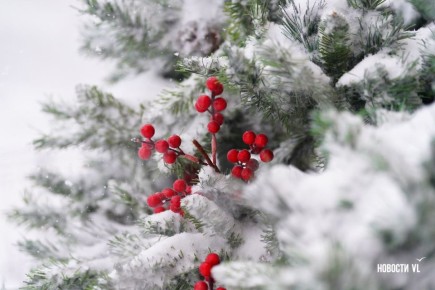 ������ ����! � �����������, 11 ������, �� ������������ ���� ��������������� ��� �������, ������� ��������� ����